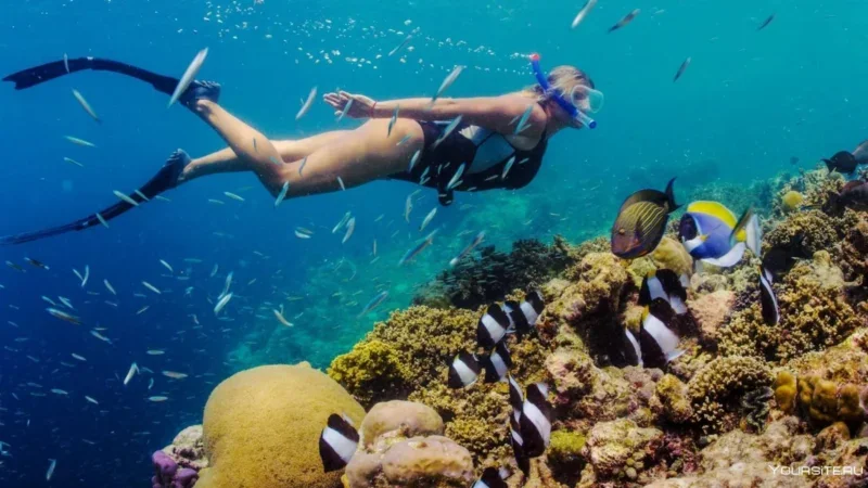 Peldēšana ar straumi: Tenerifes snorkelēšanas vietas